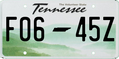 TN license plate F0645Z