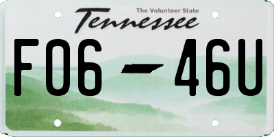TN license plate F0646U