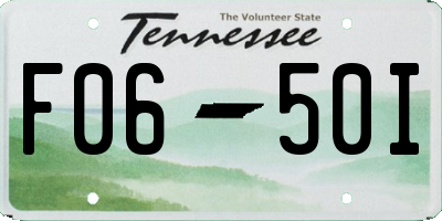 TN license plate F0650I