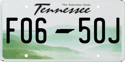 TN license plate F0650J