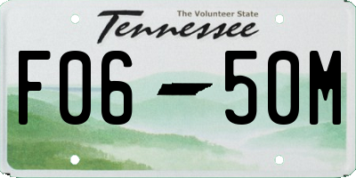 TN license plate F0650M