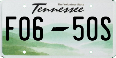 TN license plate F0650S