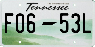 TN license plate F0653L