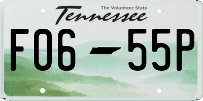 TN license plate F0655P