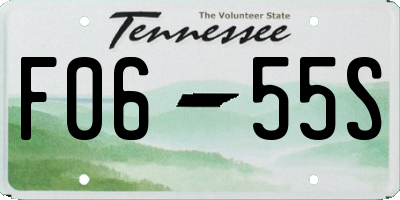 TN license plate F0655S