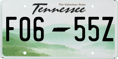 TN license plate F0655Z