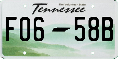 TN license plate F0658B