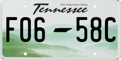 TN license plate F0658C