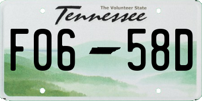 TN license plate F0658D