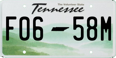 TN license plate F0658M