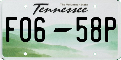 TN license plate F0658P