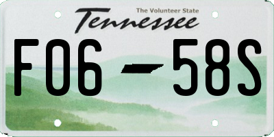 TN license plate F0658S