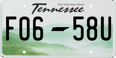TN license plate F0658U