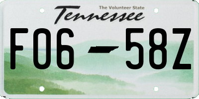 TN license plate F0658Z