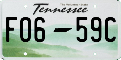TN license plate F0659C