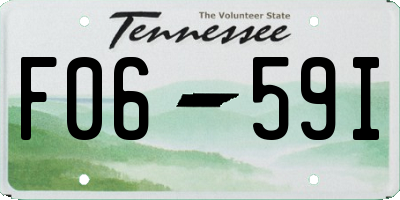 TN license plate F0659I
