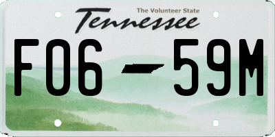 TN license plate F0659M