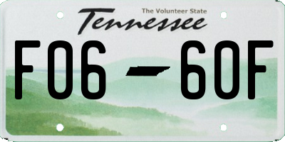 TN license plate F0660F