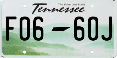 TN license plate F0660J