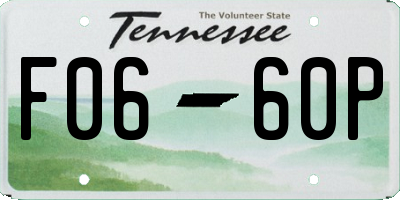 TN license plate F0660P