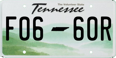 TN license plate F0660R