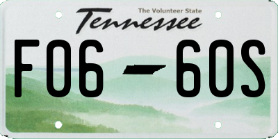 TN license plate F0660S