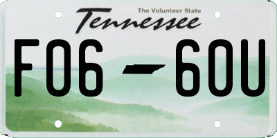 TN license plate F0660U
