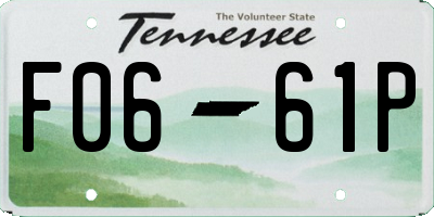 TN license plate F0661P