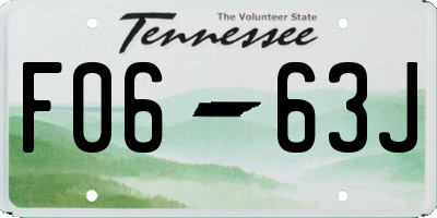 TN license plate F0663J