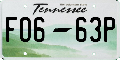 TN license plate F0663P