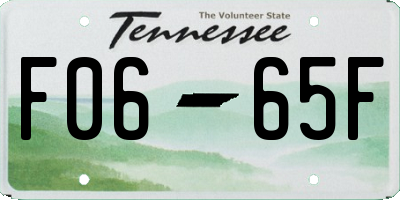 TN license plate F0665F