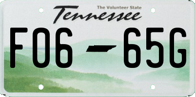 TN license plate F0665G