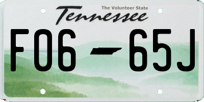 TN license plate F0665J