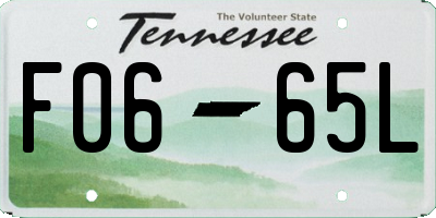 TN license plate F0665L