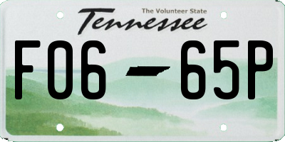 TN license plate F0665P