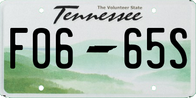 TN license plate F0665S