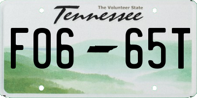 TN license plate F0665T