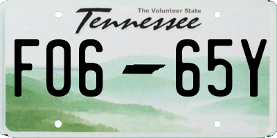 TN license plate F0665Y