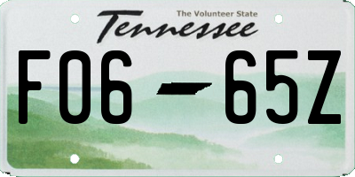 TN license plate F0665Z
