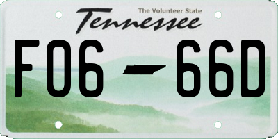 TN license plate F0666D
