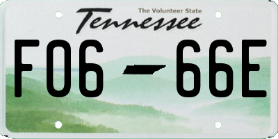 TN license plate F0666E