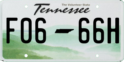 TN license plate F0666H