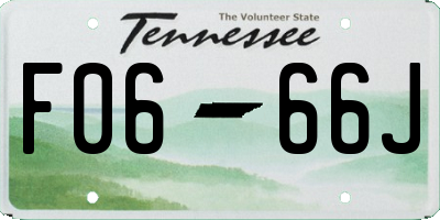 TN license plate F0666J
