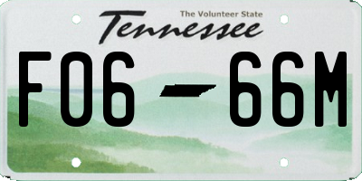 TN license plate F0666M