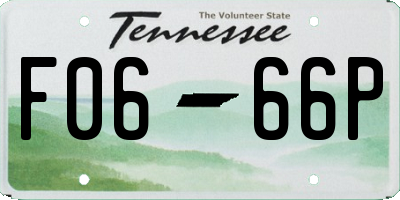 TN license plate F0666P