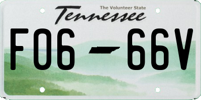 TN license plate F0666V