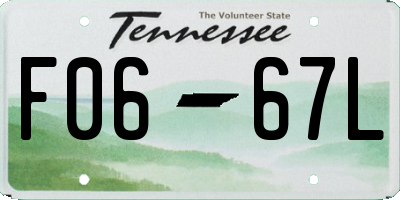 TN license plate F0667L