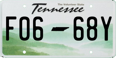 TN license plate F0668Y