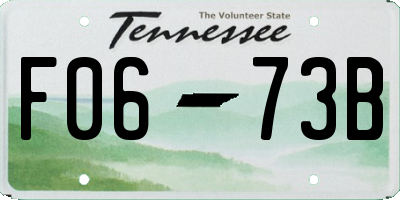 TN license plate F0673B