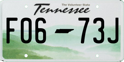 TN license plate F0673J